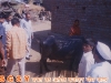 62-copy
